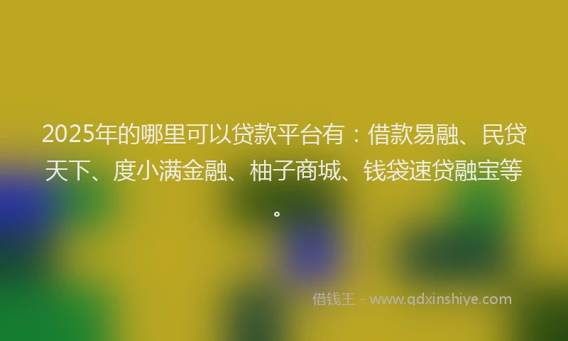 2025年的哪里可以贷款平台有：借款易融、民贷天下、度小满金融、柚子商城、钱袋速贷融宝等。