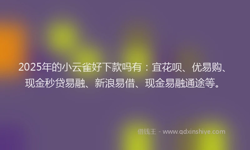 2025年的小云雀好下款吗有：宜花呗、优易购、现金秒贷易融、新浪易借、现金易融通途等。