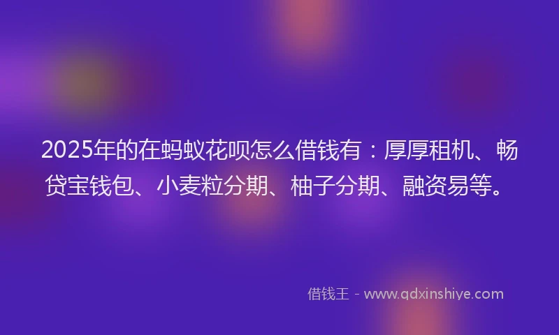 2025年的在蚂蚁花呗怎么借钱有：厚厚租机、畅贷宝钱包、小麦粒分期、柚子分期、融资易等。