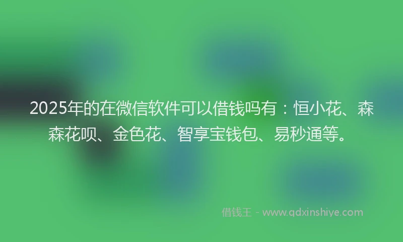 2025年的在微信软件可以借钱吗有：恒小花、森森花呗、金色花、智享宝钱包、易秒通等。