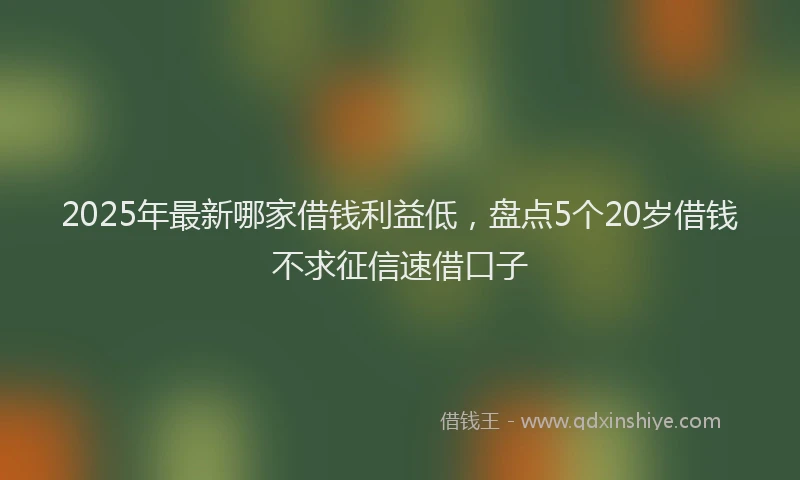 2025年最新哪家借钱利益低，盘点5个20岁借钱不求征信速借口子