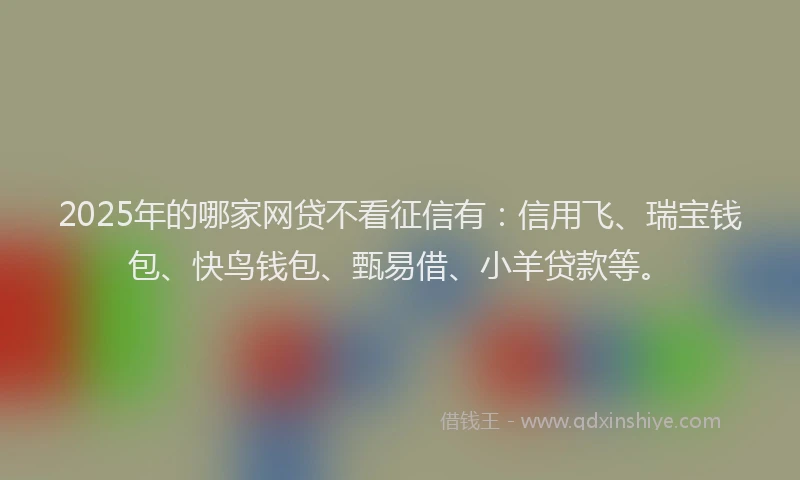 2025年的哪家网贷不看征信有：信用飞、瑞宝钱包、快鸟钱包、甄易借、小羊贷款等。