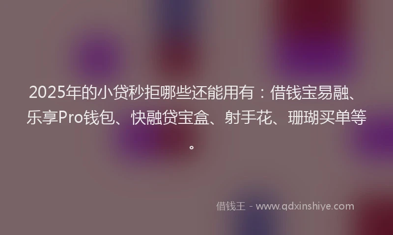 2025年的小贷秒拒哪些还能用有：借钱宝易融、乐享Pro钱包、快融贷宝盒、射手花、珊瑚买单等。