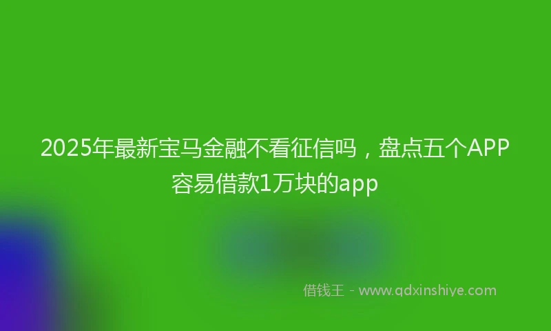 2025年最新宝马金融不看征信吗，盘点五个APP容易借款1万块的app