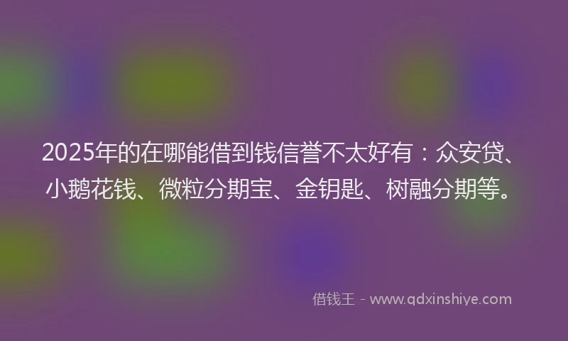2025年的在哪能借到钱信誉不太好有：众安贷、小鹅花钱、微粒分期宝、金钥匙、树融分期等。