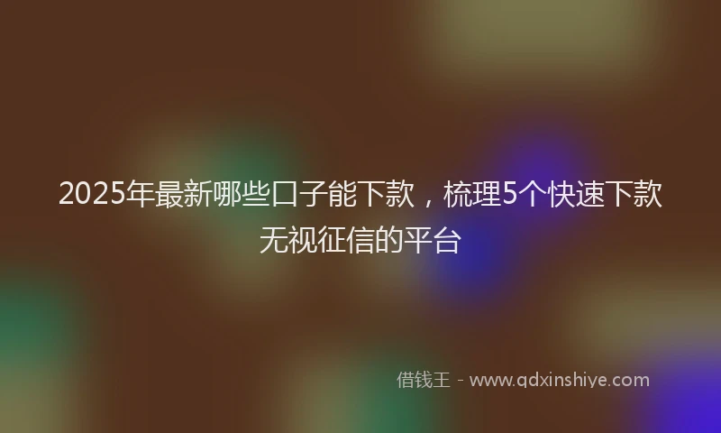 2025年最新哪些口子能下款，梳理5个快速下款无视征信的平台
