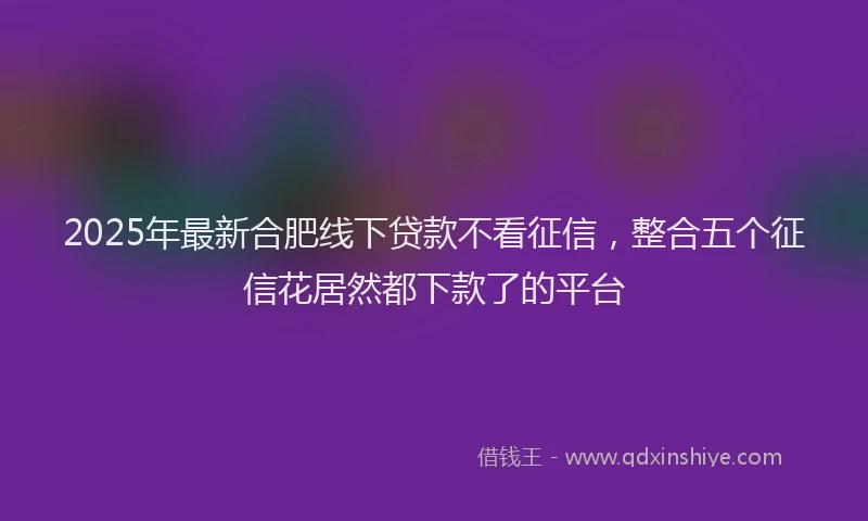 2025年最新合肥线下贷款不看征信，整合五个征信花居然都下款了的平台