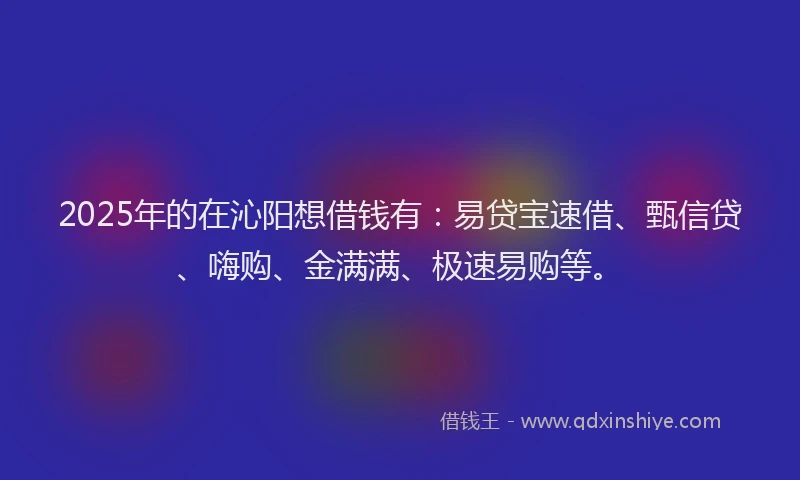 2025年的在沁阳想借钱有：易贷宝速借、甄信贷、嗨购、金满满、极速易购等。