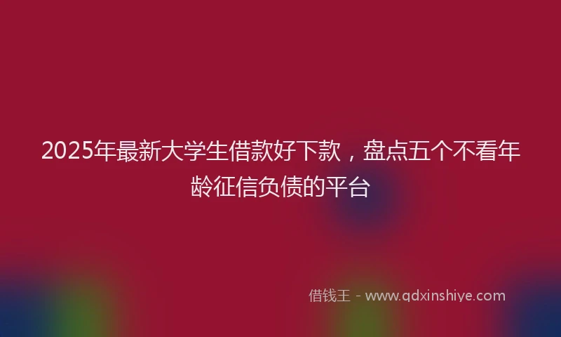 2025年最新大学生借款好下款，盘点五个不看年龄征信负债的平台