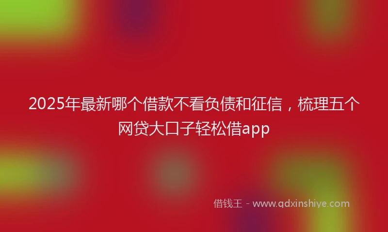 2025年最新哪个借款不看负债和征信，梳理五个网贷大口子轻松借app