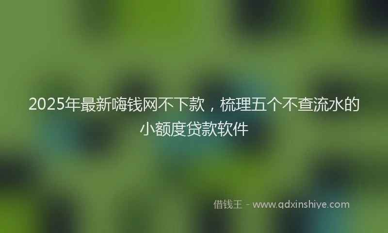 2025年最新嗨钱网不下款，梳理五个不查流水的小额度贷款软件