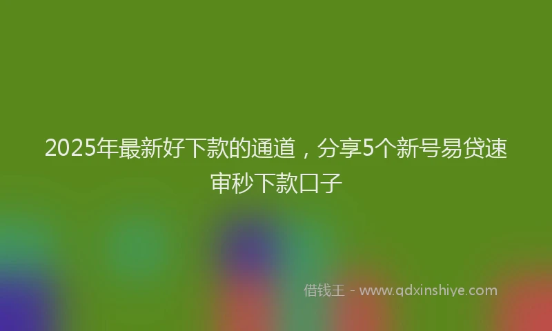 2025年最新好下款的通道，分享5个新号易贷速审秒下款口子