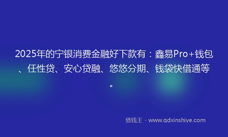 2025年的宁银消费金融好下款有：鑫易Pro+钱包、任性贷、安心贷融、悠悠分期、钱袋快借通等。