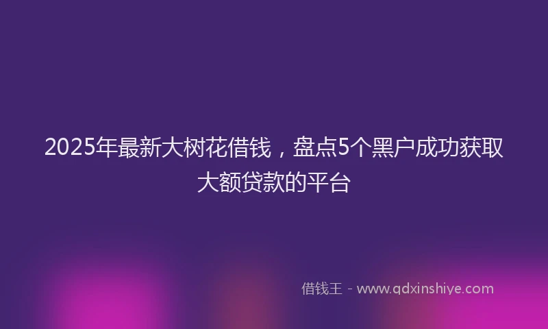 2025年最新大树花借钱，盘点5个黑户成功获取大额贷款的平台