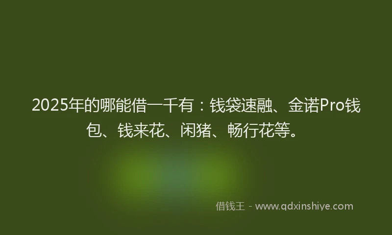 2025年的哪能借一千有：钱袋速融、金诺Pro钱包、钱来花、闲猪、畅行花等。