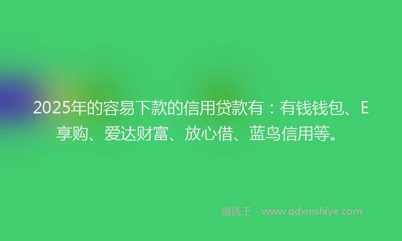 2025年的容易下款的信用贷款有：有钱钱包、E享购、爱达财富、放心借、蓝鸟信用等。