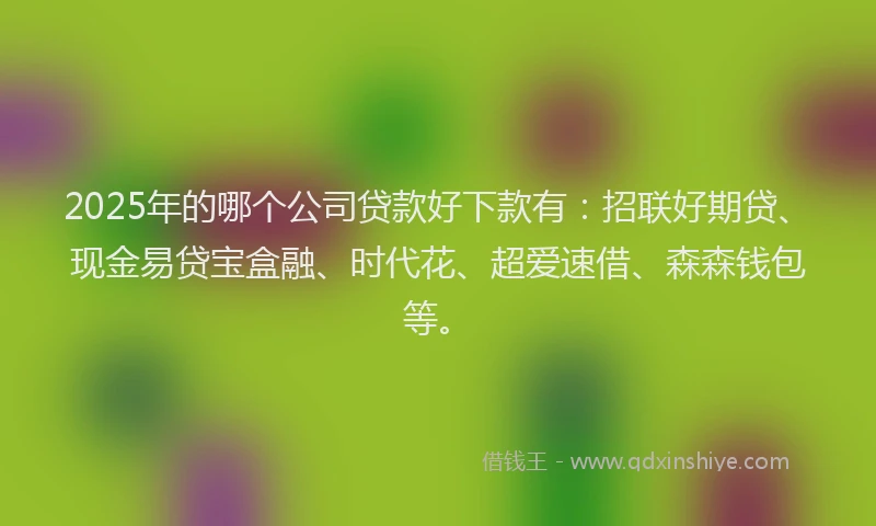 2025年的哪个公司贷款好下款有：招联好期贷、现金易贷宝盒融、时代花、超爱速借、森森钱包等。