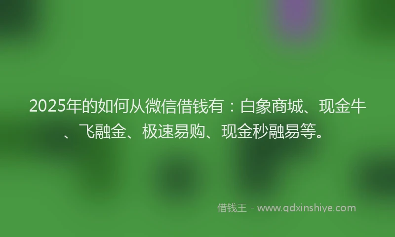 2025年的如何从微信借钱有：白象商城、现金牛、飞融金、极速易购、现金秒融易等。