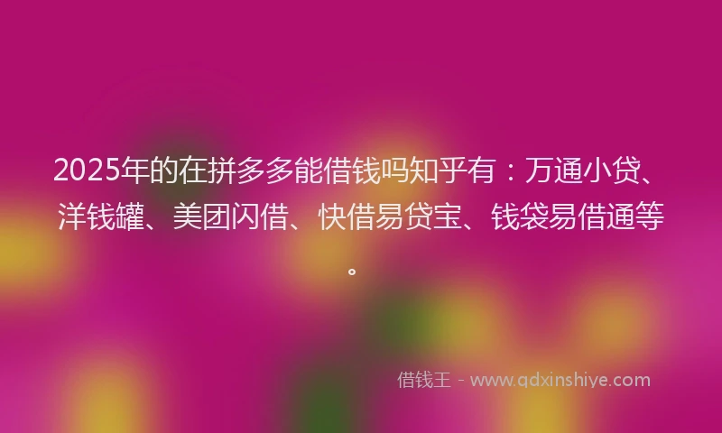 2025年的在拼多多能借钱吗知乎有：万通小贷、洋钱罐、美团闪借、快借易贷宝、钱袋易借通等。