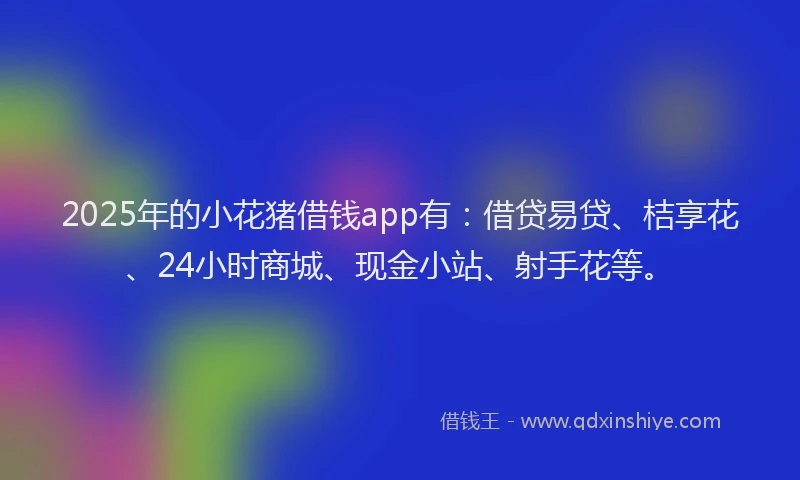 2025年的小花猪借钱app有：借贷易贷、桔享花、24小时商城、现金小站、射手花等。