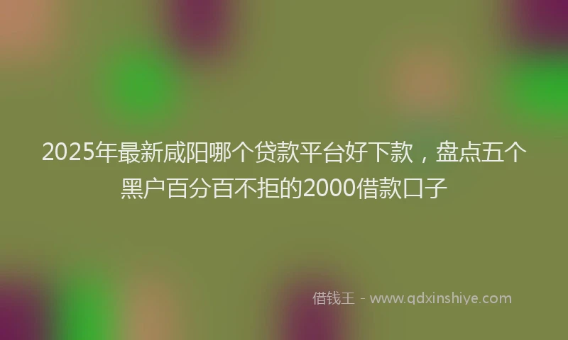 2025年最新咸阳哪个贷款平台好下款，盘点五个黑户百分百不拒的2000借款口子