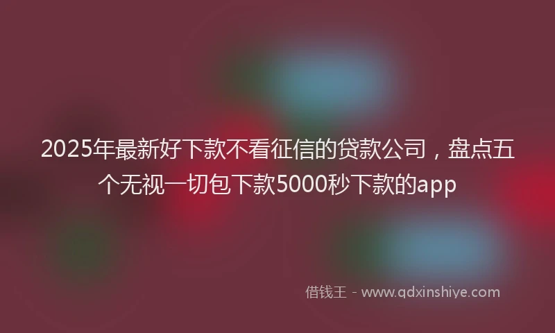 2025年最新好下款不看征信的贷款公司，盘点五个无视一切包下款5000秒下款的app