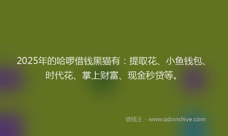 2025年的哈啰借钱黑猫有：提取花、小鱼钱包、时代花、掌上财富、现金秒贷等。