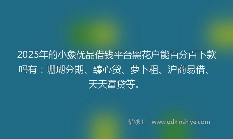 2025年的小象优品借钱平台黑花户能百分百下款吗有：珊瑚分期、臻心贷、萝卜租、沪商易借、天天富贷等。