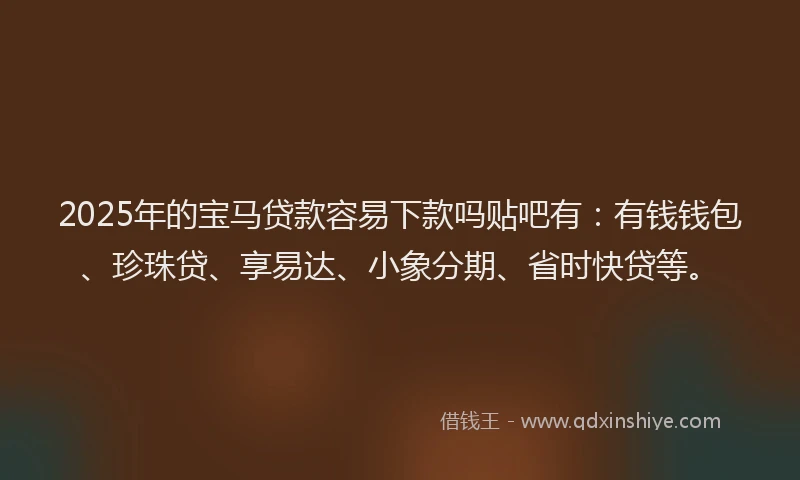 2025年的宝马贷款容易下款吗贴吧有：有钱钱包、珍珠贷、享易达、小象分期、省时快贷等。