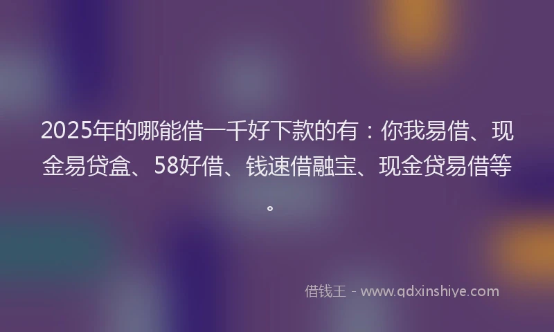 2025年的哪能借一千好下款的有：你我易借、现金易贷盒、58好借、钱速借融宝、现金贷易借等。