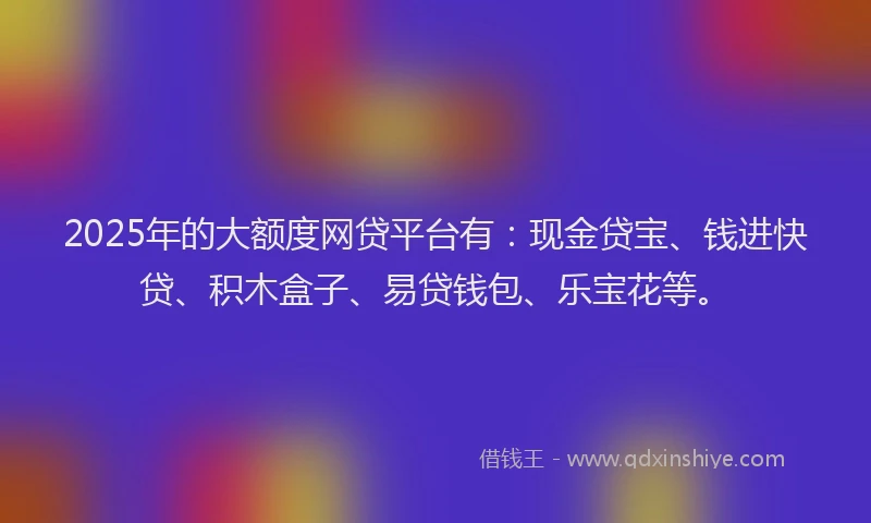 2025年的大额度网贷平台有：现金贷宝、钱进快贷、积木盒子、易贷钱包、乐宝花等。