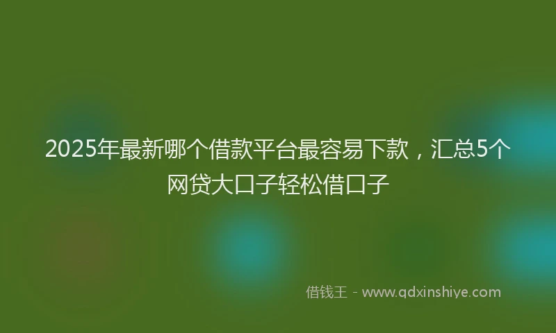 2025年最新哪个借款平台最容易下款，汇总5个网贷大口子轻松借口子
