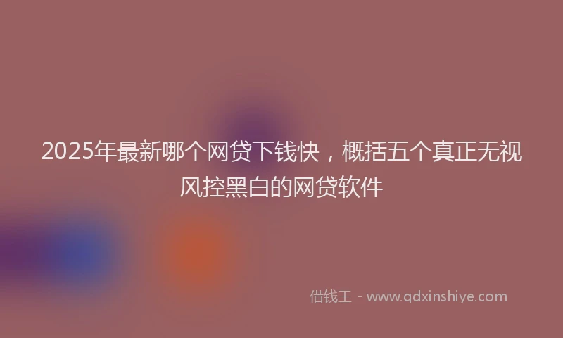 2025年最新哪个网贷下钱快，概括五个真正无视风控黑白的网贷软件