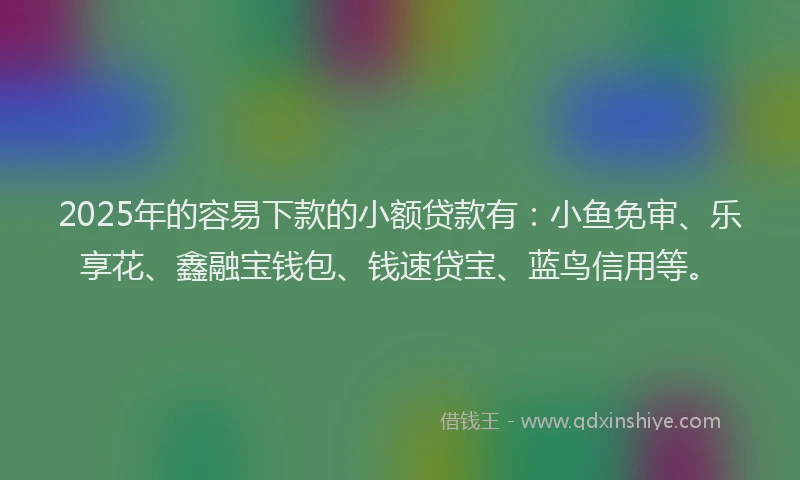 2025年的容易下款的小额贷款有：小鱼免审、乐享花、鑫融宝钱包、钱速贷宝、蓝鸟信用等。