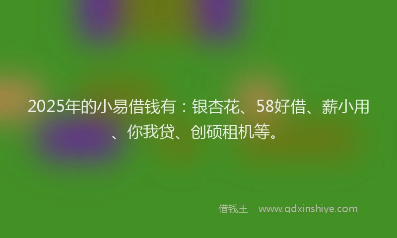 2025年的小易借钱有：银杏花、58好借、薪小用、你我贷、创硕租机等。