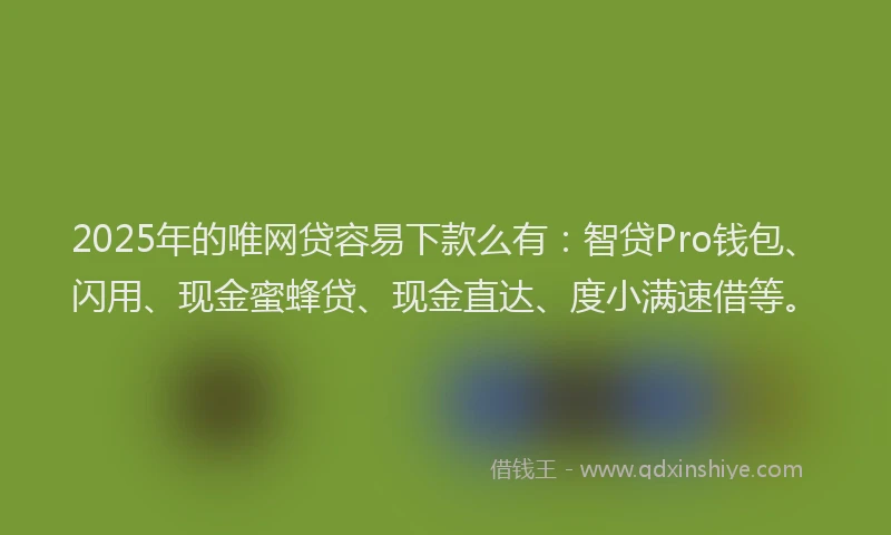 2025年的唯网贷容易下款么有：智贷Pro钱包、闪用、现金蜜蜂贷、现金直达、度小满速借等。