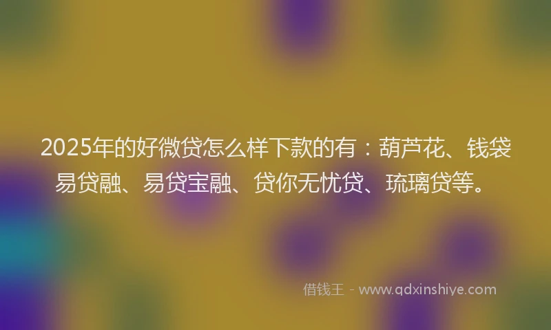 2025年的好微贷怎么样下款的有：葫芦花、钱袋易贷融、易贷宝融、贷你无忧贷、琉璃贷等。