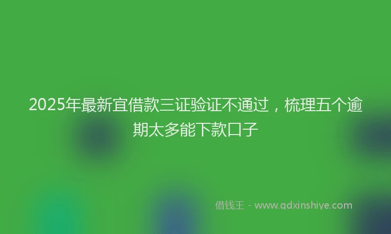 2025年最新宜借款三证验证不通过，梳理五个逾期太多能下款口子