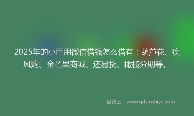 2025年的小巨用微信借钱怎么借有:葫芦花、疾风购、金芒果商城、还易贷、橄榄分期等。