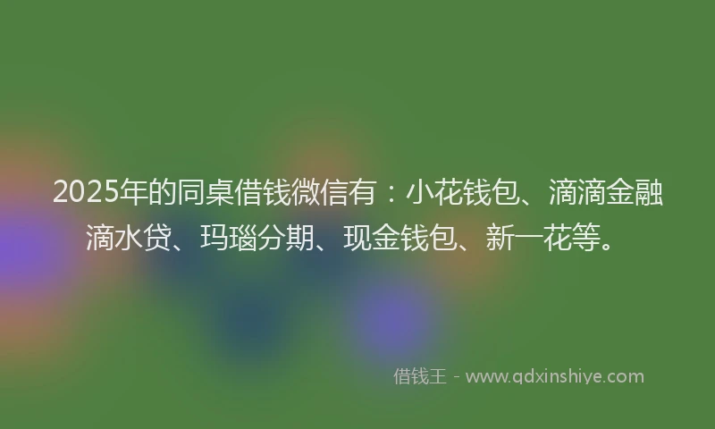 2025年的同桌借钱微信有：小花钱包、滴滴金融滴水贷、玛瑙分期、现金钱包、新一花等。