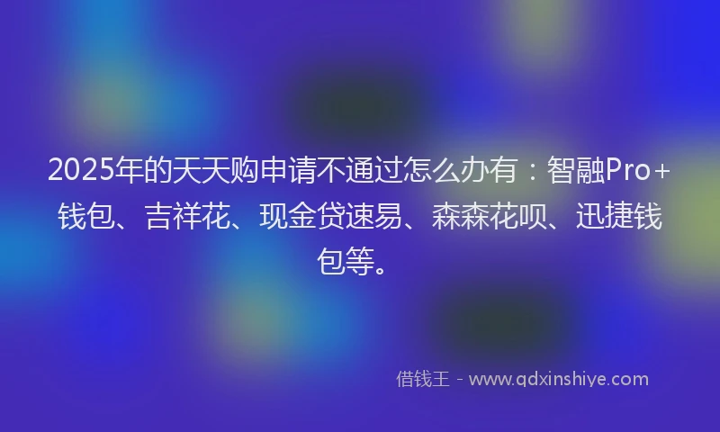2025年的天天购申请不通过怎么办有：智融Pro+钱包、吉祥花、现金贷速易、森森花呗、迅捷钱包等。