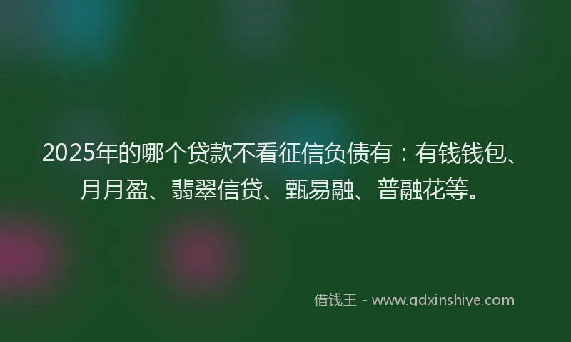 2025年的哪个贷款不看征信负债有：有钱钱包、月月盈、翡翠信贷、甄易融、普融花等。