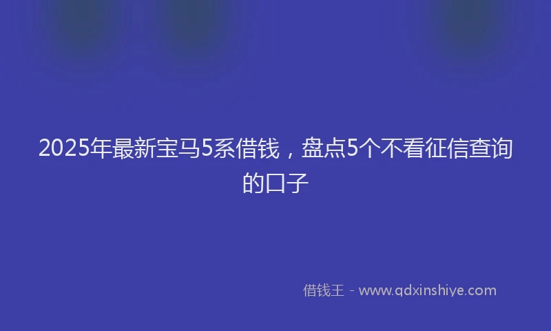 2025年最新宝马5系借钱，盘点5个不看征信查询的口子