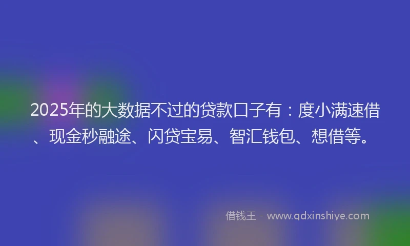 2025年的大数据不过的贷款口子有：度小满速借、现金秒融途、闪贷宝易、智汇钱包、想借等。