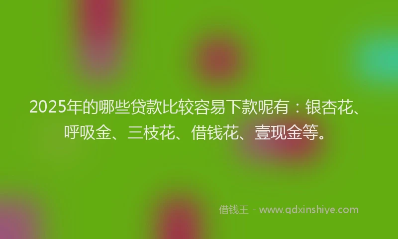 2025年的哪些贷款比较容易下款呢有：银杏花、呼吸金、三枝花、借钱花、壹现金等。
