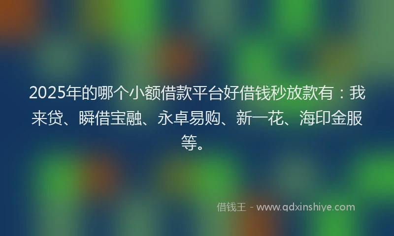 2025年的哪个小额借款平台好借钱秒放款有：我来贷、瞬借宝融、永卓易购、新一花、海印金服等。
