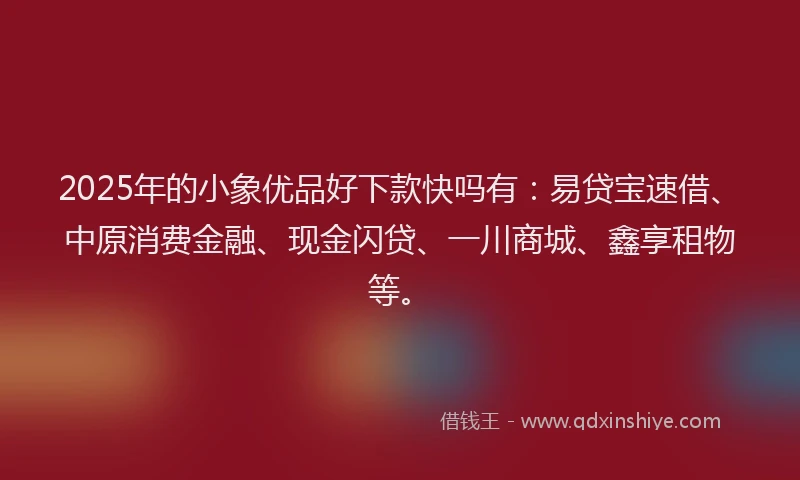 2025年的小象优品好下款快吗有:易贷宝速借、中原消费金融、现金闪贷、一川商城、鑫享租物等。