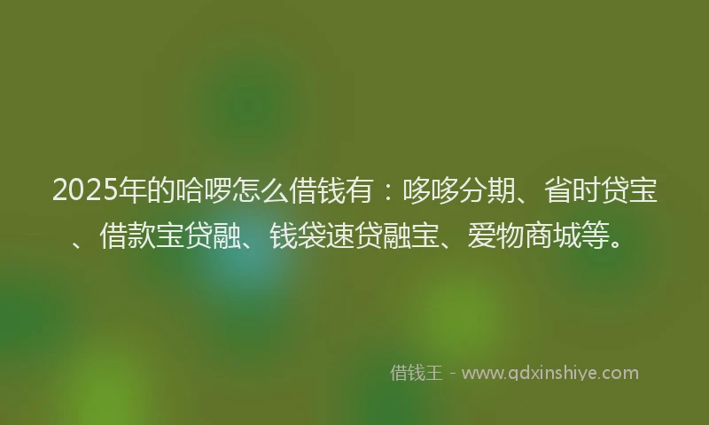 2025年的哈啰怎么借钱有：哆哆分期、省时贷宝、借款宝贷融、钱袋速贷融宝、爱物商城等。