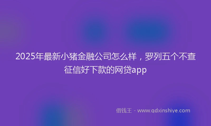 2025年最新小猪金融公司怎么样，罗列五个不查征信好下款的网贷app