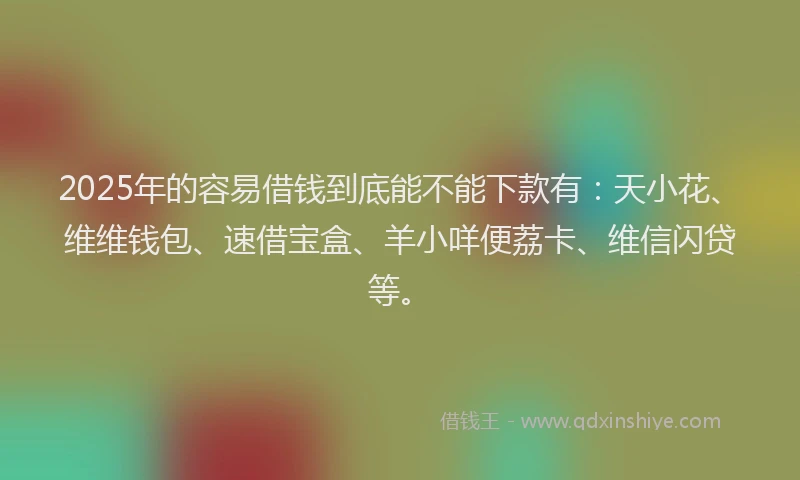 2025年的容易借钱到底能不能下款有：天小花、维维钱包、速借宝盒、羊小咩便荔卡、维信闪贷等。